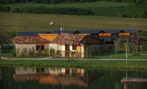 Une rangée de maisons rustiques aux toits de tuiles, un petit étang au premier plan et un vignoble en arrière-plan.