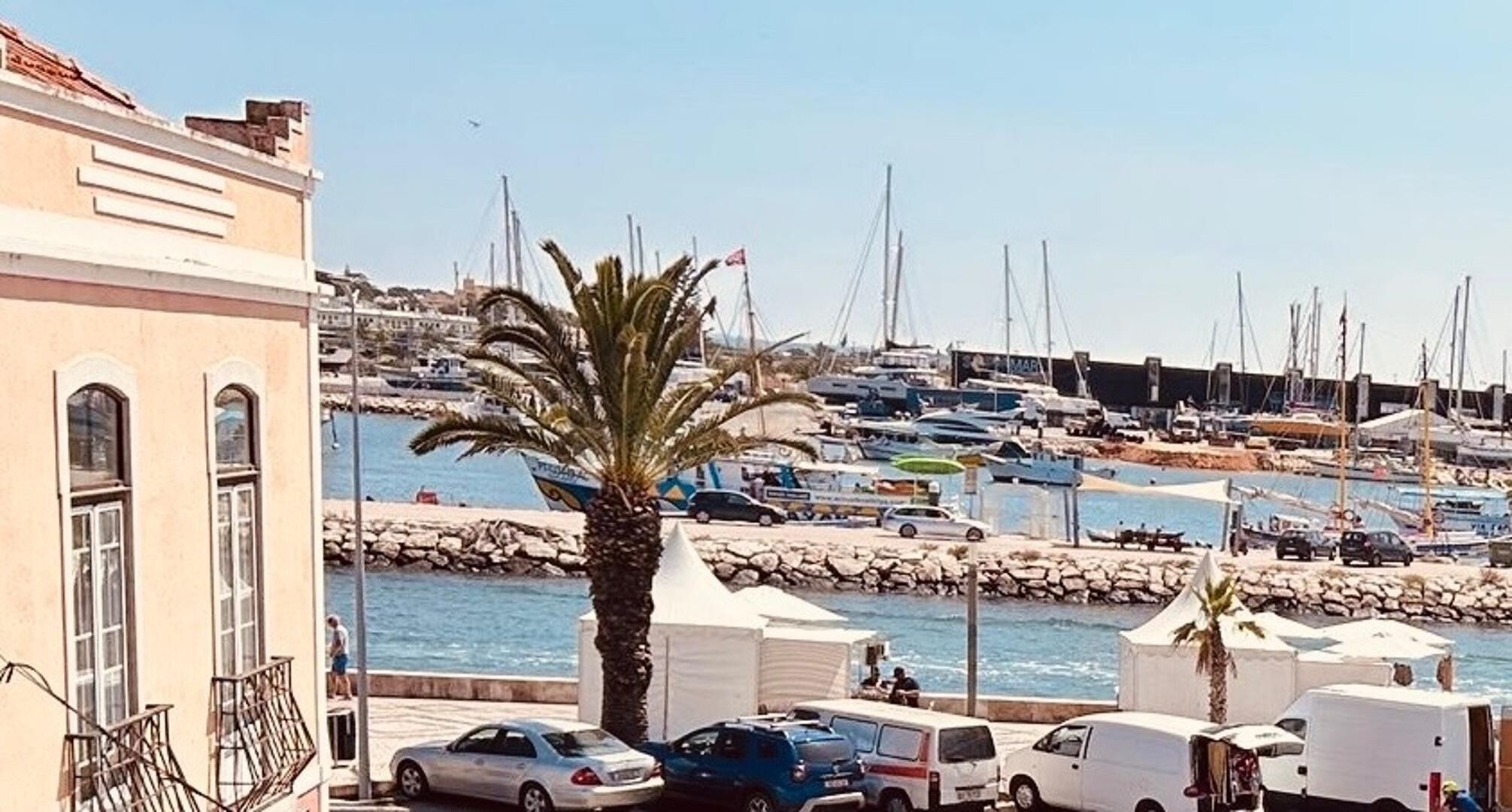 Un port de plaisance avec des bateaux, un palmier et des voitures garées.