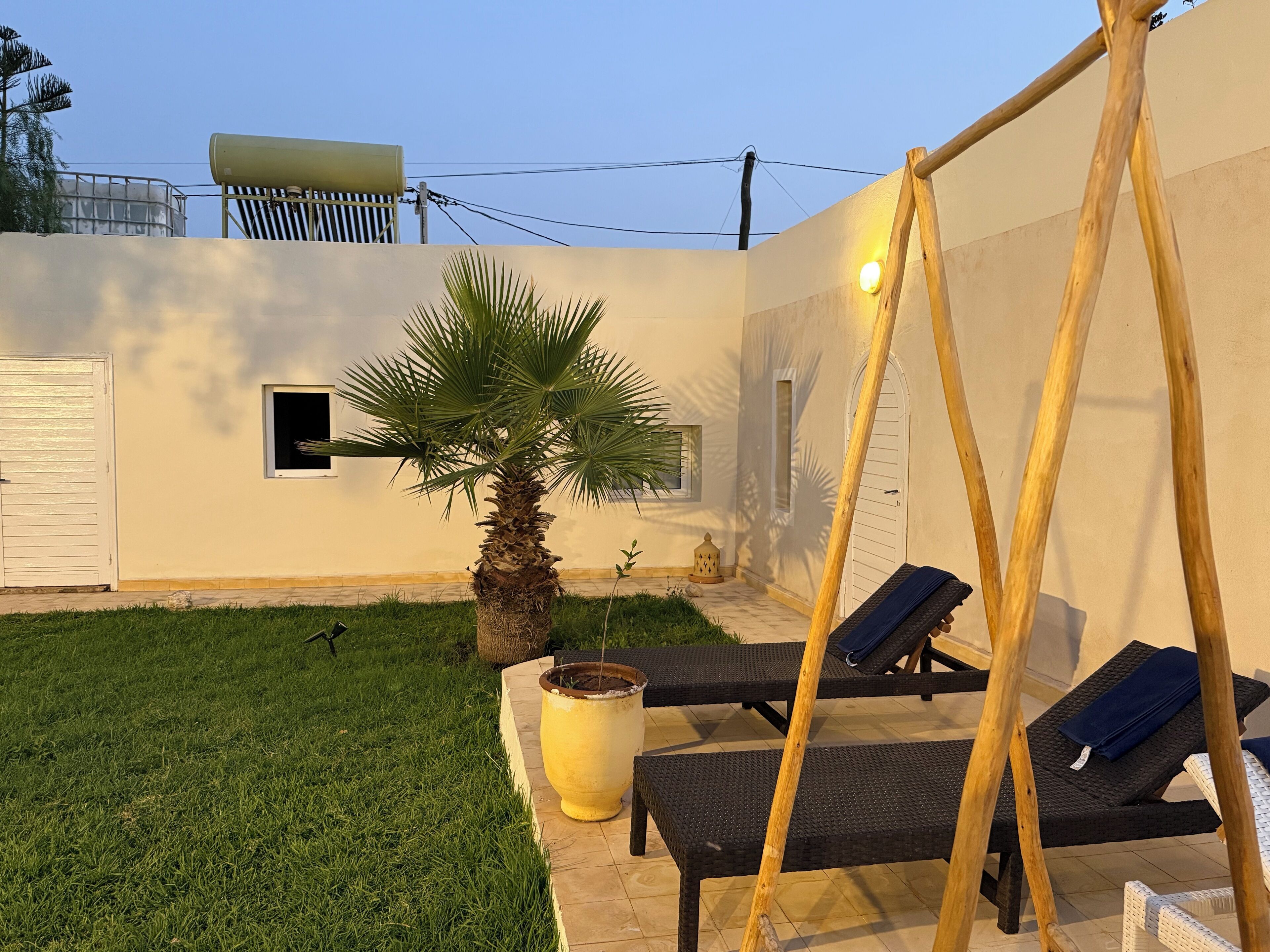 Un patio con una mecedora, sillones de descanso, una palmera y una maceta grande.
