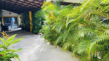 Ărea exterior de l'allotjament