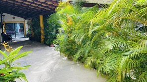 Property grounds - Ixaya Boutique Hotel 5 minutes from the Malecon and Sports Complex (Puerto Vallarta)