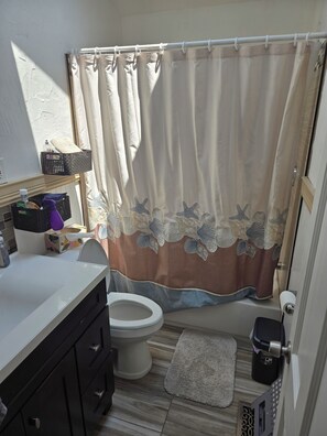Shower, towels, soap, toilet paper
