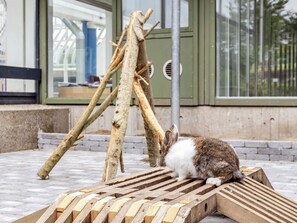 Maison | Enceinte de l’hébergement