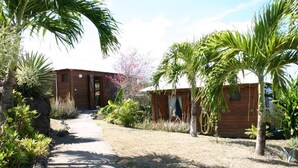 A pathway leading to a wooden building with a small porch, surrounded by palm trees and other vegetation. - Sea view bungalow (Bouillante)
