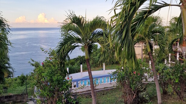A view of a coastal area with palm trees and a building with a blue and white facade. - Sea view bungalow (Bouillante)
