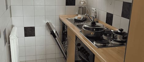Frigorífic, microones, placa de cuina i rentaplats