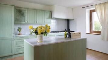 Oven, stovetop, dishwasher