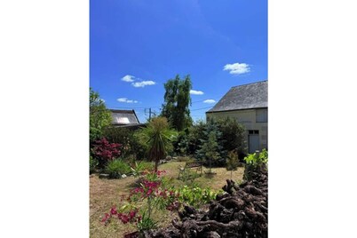 The vineyard setting