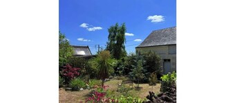 The vineyard setting