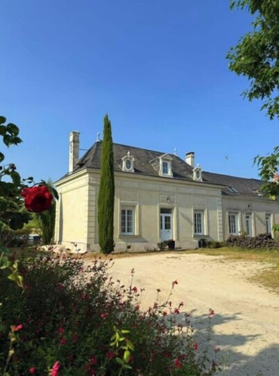 The vineyard setting