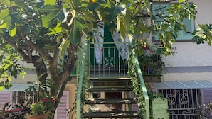 A tree with green leaves in front of a building with a green door and window shutters. - Apartment - Sleeps 5, Balcony, Wifi, Parking (Stazzema)