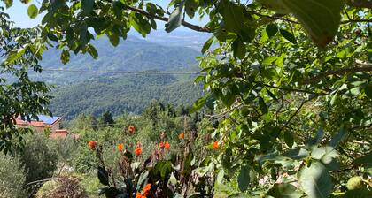 Apartment - Sleeps 2, Balcony & Parking