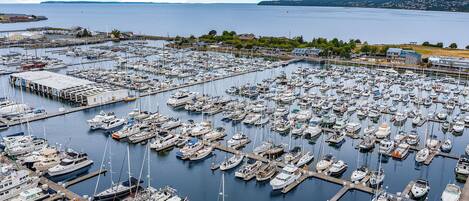 A marina with numerous boats docked at various piers.