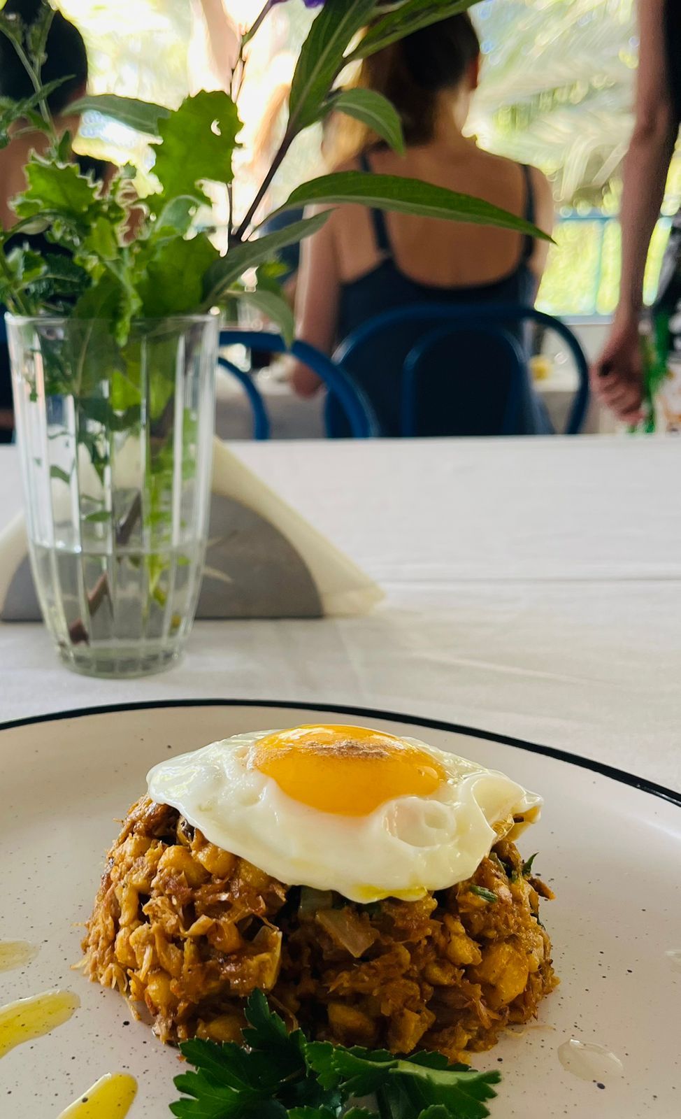A plate with a fried egg on top of a dish, a glass of water, and a potted plant on a table.