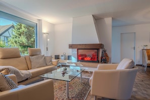 Smart TV, fireplace, stereo, computer monitors
