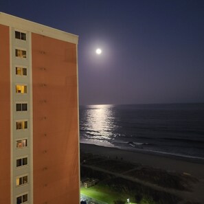 Miscellaneous - One bedroom with sleeper sofa in living room. Sleeps 4. Attractions close by. (Myrtle Beach)