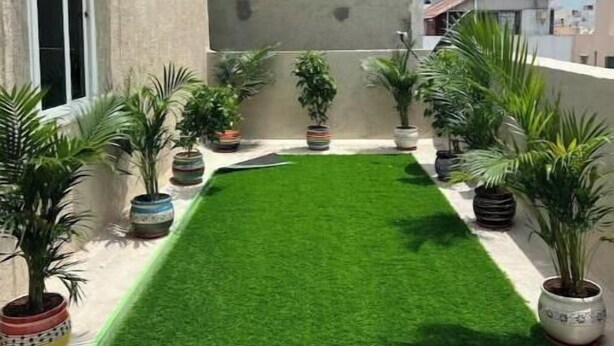 Une cour étroite et pavée, agrémentée d’une pelouse verdoyante bien entretenue, entourée de plantes en pot et bordée d’un bâtiment à la façade en béton.