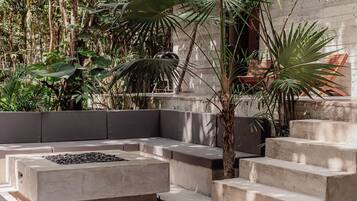Terras