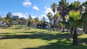 Een grasrijk park met palmbomen, een heldere lucht en gebouwen op de achtergrond.