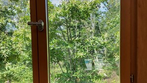 Ein Fenster mit Holzrahmen, durch das dichte, grüne Vegetation und ein klarer Himmel zu sehen sind.