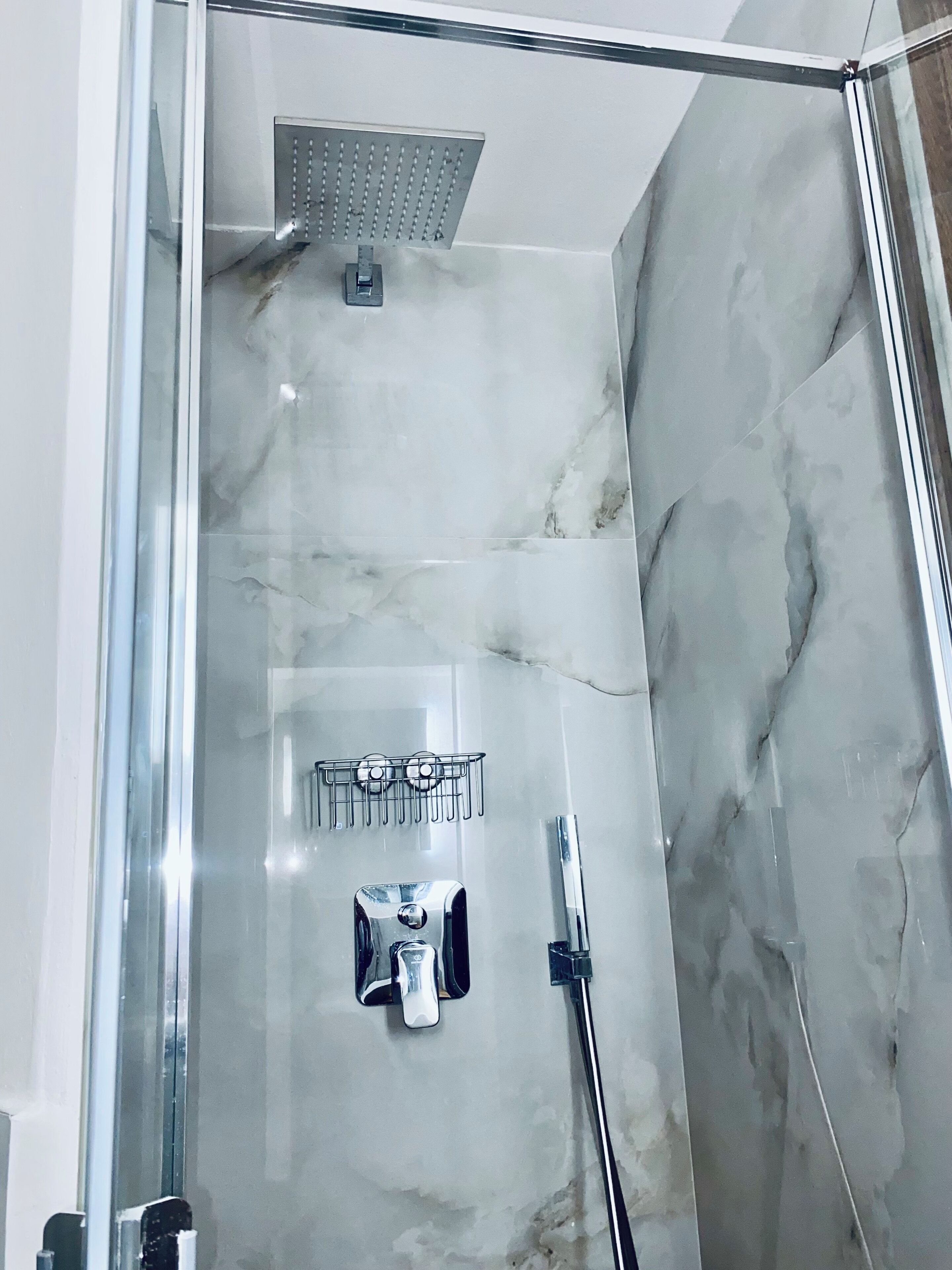 Shower, hair dryer, bidet, towels