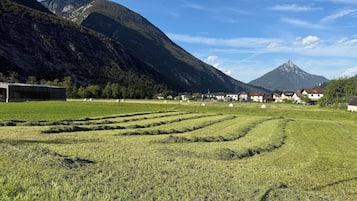 Sekalaista
