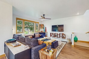 Télévision, cheminée, livres