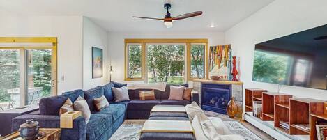 TV, fireplace, books