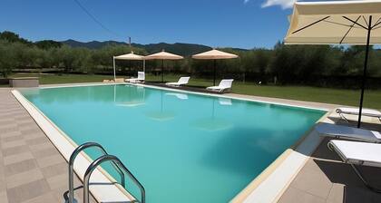 Luxury villa with private pool and olive grove near Vinci 30 min from florence