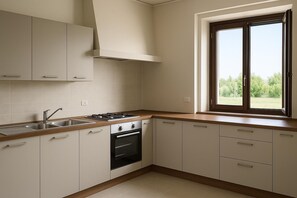 Fridge, oven, stovetop, dishwasher