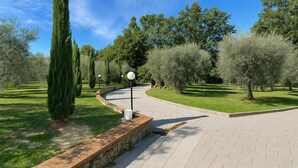 Un sentier pavé qui serpente à travers un parc, bordé d’arbres et d’un mur de pierre d’un côté.