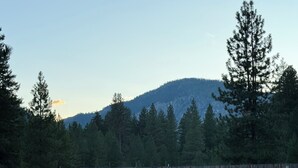A forested area with a mountain in the background, a wooden fence, and a clear sky.