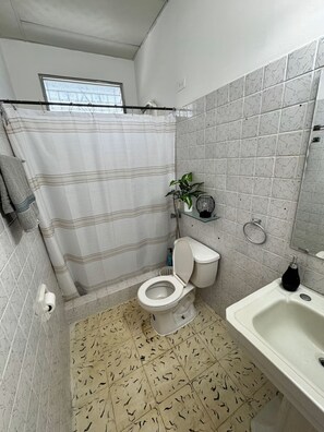 Dusche, Haartrockner, Handtücher, Seife