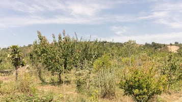 Ulkoalueet