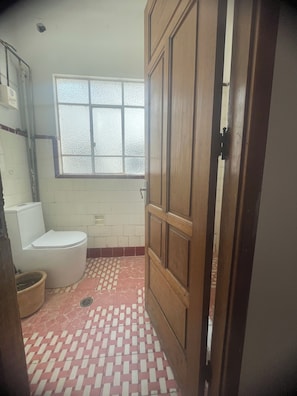 Shower, towels, toilet paper