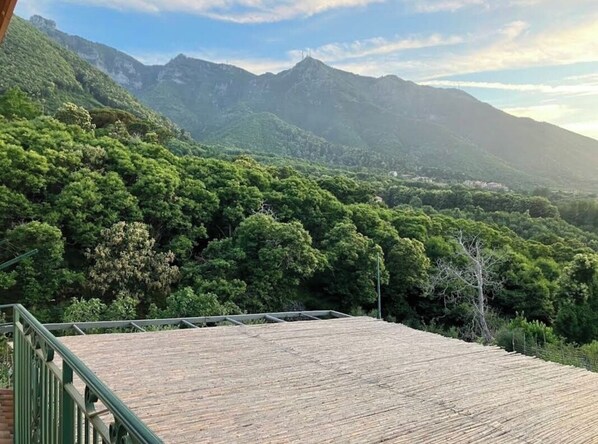 A wooden deck with a metal railing overlooking a lush green valley and mountains.