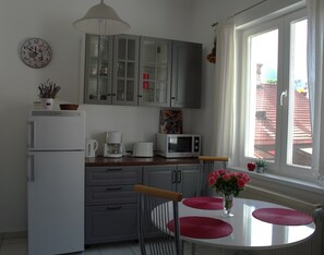 Microwave, oven, stovetop, dishwasher - The Artist's Attic (Brașov)