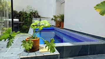Apartemen Galeri, kolam renang pribadi, pemandangan kebun | Pemandangan dari kamar