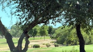 A park with trees and a grassy area. - Relax in the Gilbert Getaway (Gilbert)
