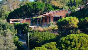 A hillside house with a red roof, surrounded by dense greenery and trees. - Villa Elba Mare & Relax Capoliveri - Sea view and proximity to the sea in a quiet location (Capoliveri)