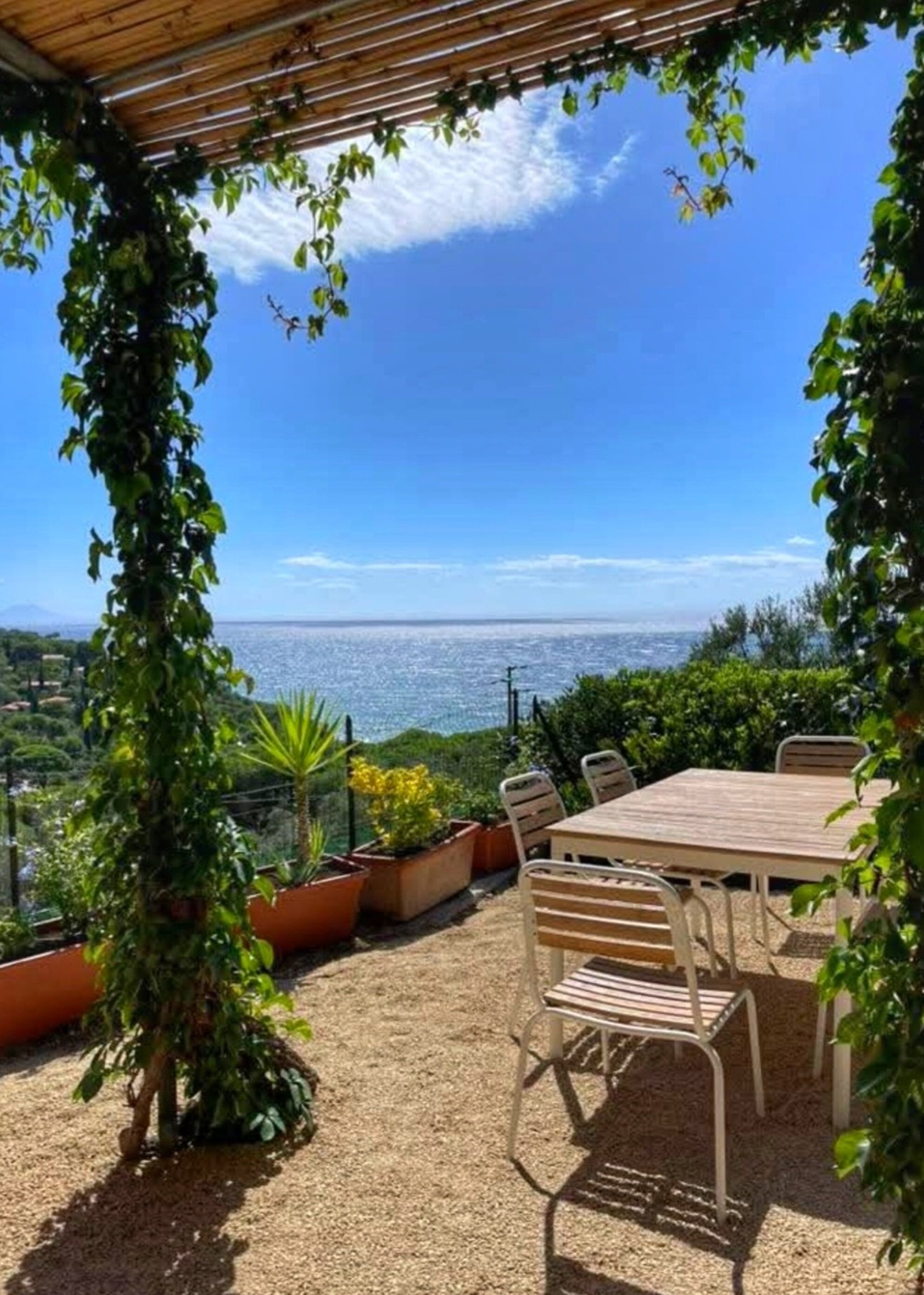 屋外ダイニングエリア