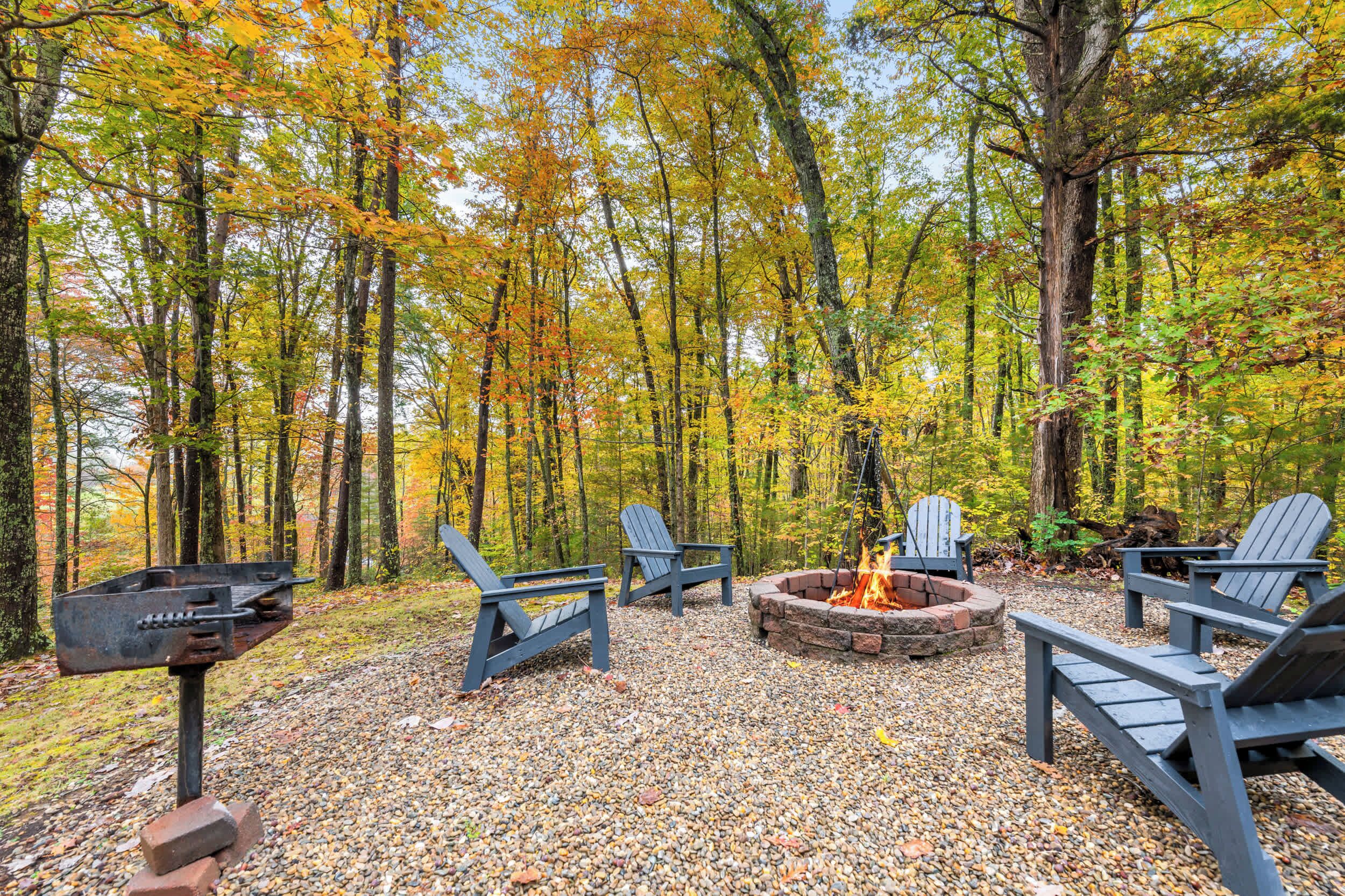 Une zone boisée avec un foyer et des fauteuils Adirondack.