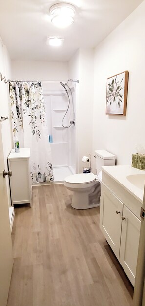 Hair dryer, towels, soap, shampoo