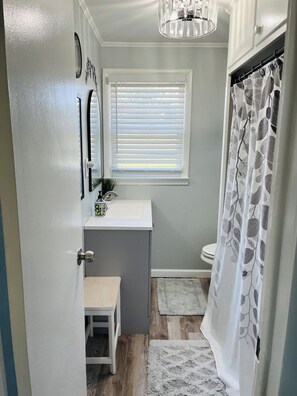 Hair dryer, towels, shampoo, toilet paper