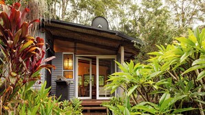 A wooden cabin with a porch, surrounded by lush greenery.
