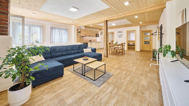 A modern living room with a sectional sofa, a small table, and a potted plant. - Lovely apartment for 4 guests with pool, WIFI, TV and patio (Železný Brod)
