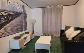 智能电视、壁炉