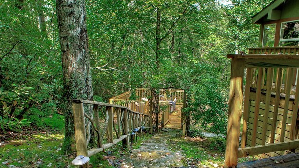 Eine Holzbrücke in einem bewaldeten Gebiet mit einem Holzsteg und einem kleinen Bauwerk.