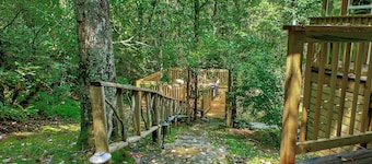 Hideaway Hill | Peaceful Mountain Home in Sapphire | Pet-Friendly