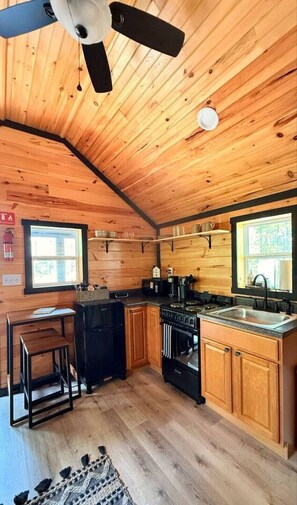 Frigorífico, microondas, horno y placa de cocina